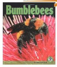 Book Cover: Bumblebees