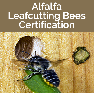 Alfalfa Leafcutting Bee Certification