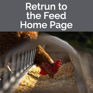 Return to Feed home tile