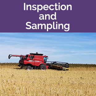 Inspection and Sampling