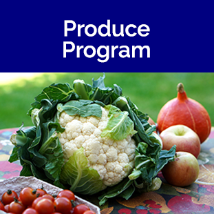 Produce program tile - Cauliflower, tomatoes, onions