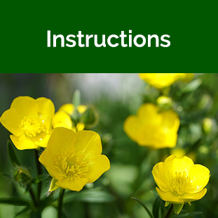 NWTF Instructions tile - yellow flowers
