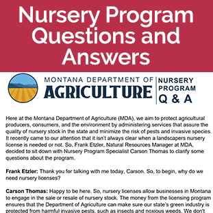 Nursery Program Q & A