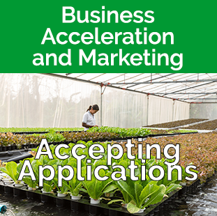Business Acceleration Program Tile - plants and a woman in greenhouse
