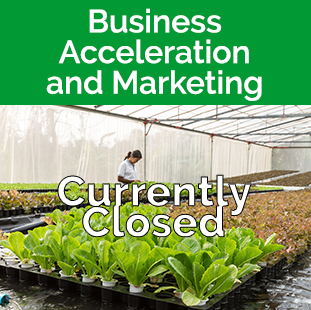 Business Acceleration Program Tile - plants and a woman in greenhouse