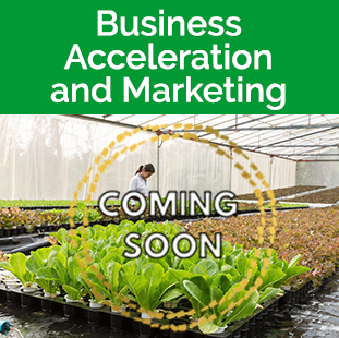 Business Acceleration Program Tile - plants and a woman in greenhouse