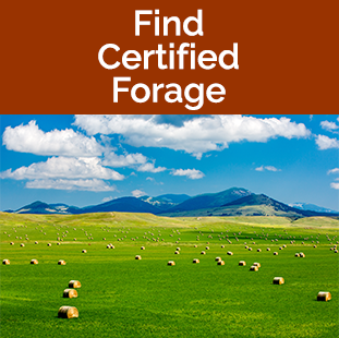 Find Certified Forage