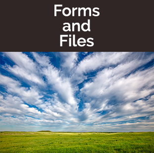Forms & Files