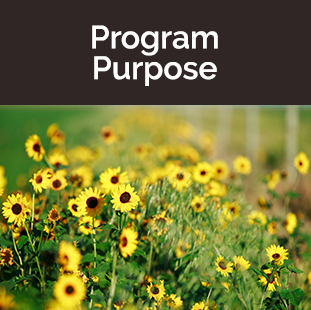 Program Purpose