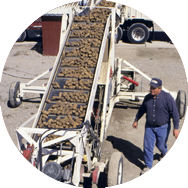Potato conveyer - Click to learn more about the Montana Department of Agriculture Agricultural Development Division