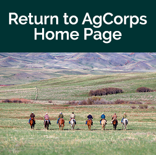 AgCorps return tile - cowboys on horseback