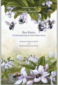 Book Cover: Bee Basics