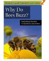 Book Cover: Why Do Bees Buzz?