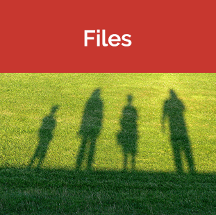 Files tile - Shadows of students on grass