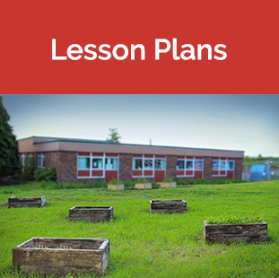 Lesson Plans tile - school with above ground planters
