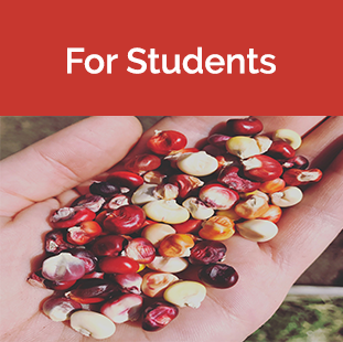 Students tile - Hand holding corn kernels 