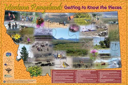 Montana Rangelands Poster Puzzle
