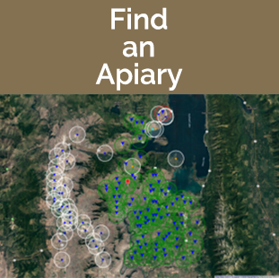 Find an Apiary