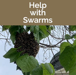 Help with Swarms