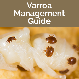 Varroa Management Guide