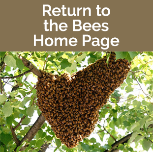 Beekeeper Home Page