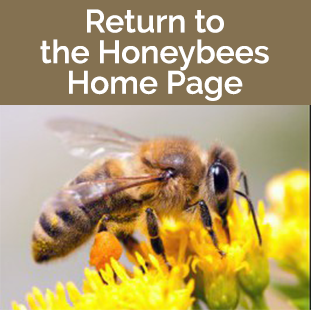 Return to the Beekeeper Home Page