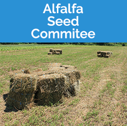 Alfalfa Seed Committee