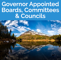 Governor Appointments
