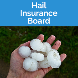 Hail Board