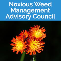 Noxious Weed Management Advisory Council