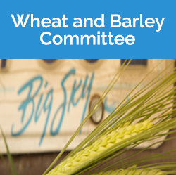 Wheat & Barley Committee