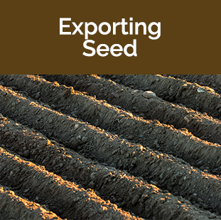 Exporting Seed