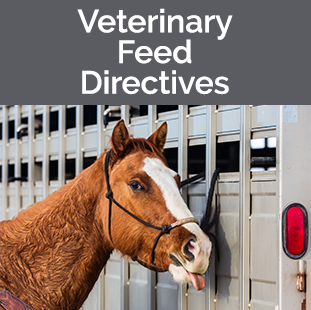 Veterinary Feed Directives