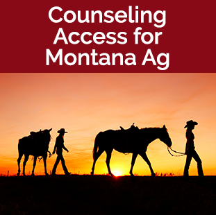 Counseling Access - Image of cowboys walking horses in sun set provided by Todd Klassy