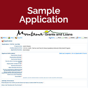 Mini-Grant Sample Application