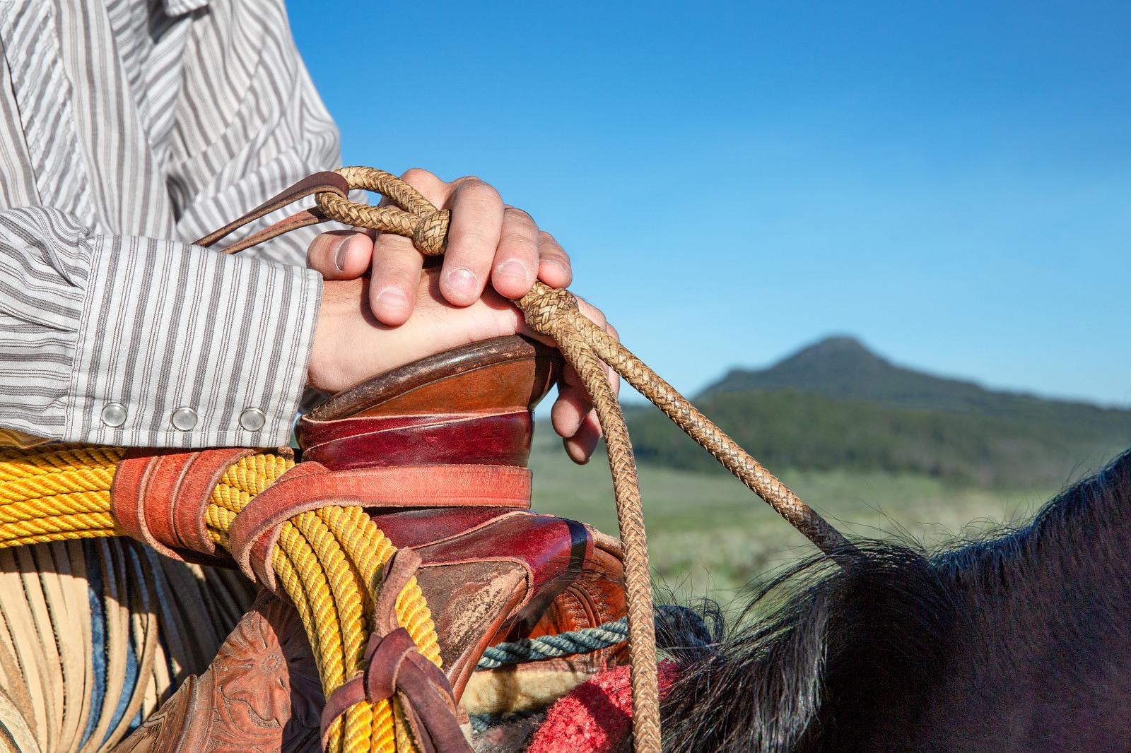 Hands on Saddle horn holding rope - Photo by Todd Klassy