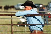 cowboy leaning on a fence