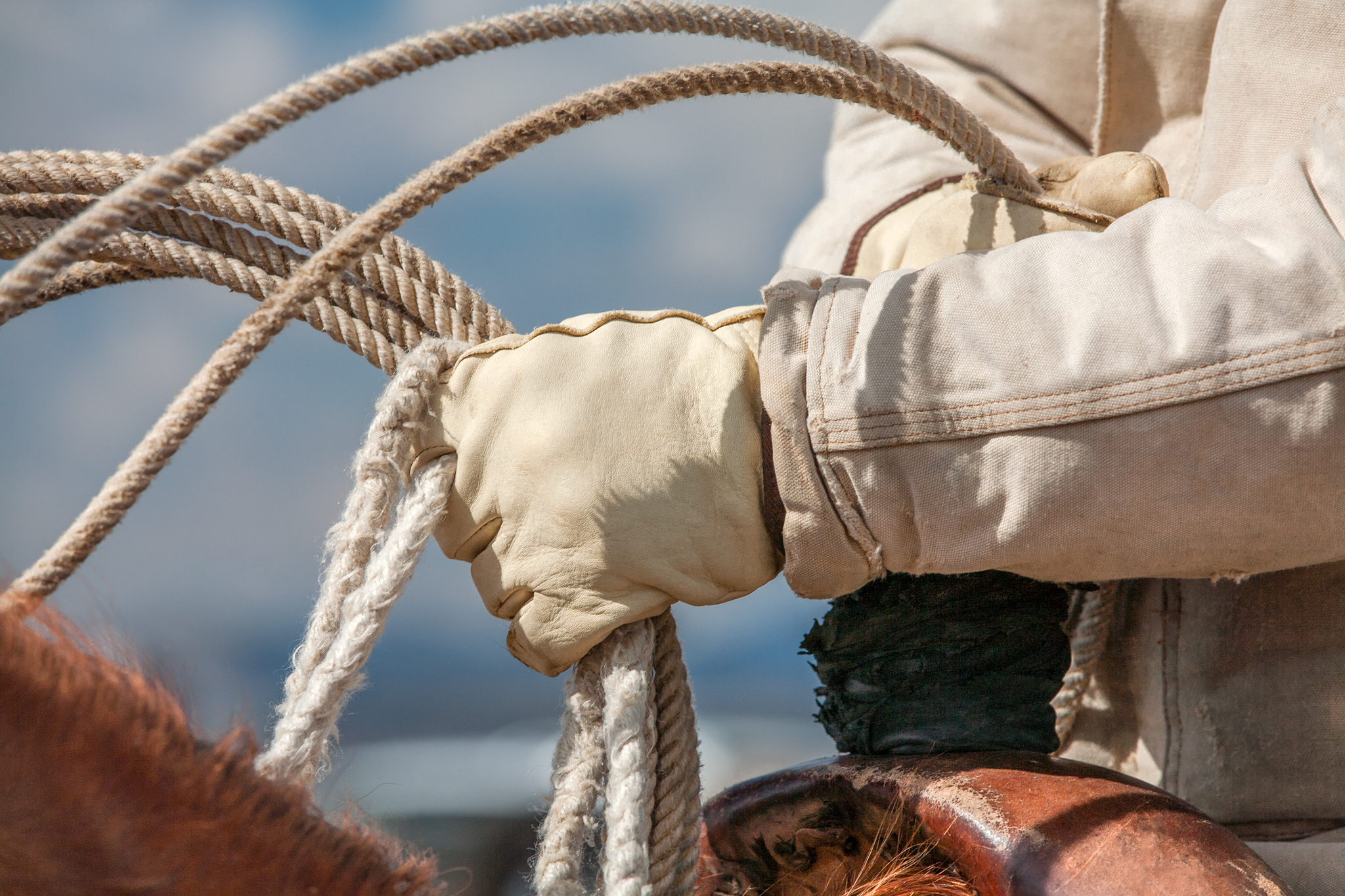 Up close image cowboy hands with rope photo by Todd Klassy