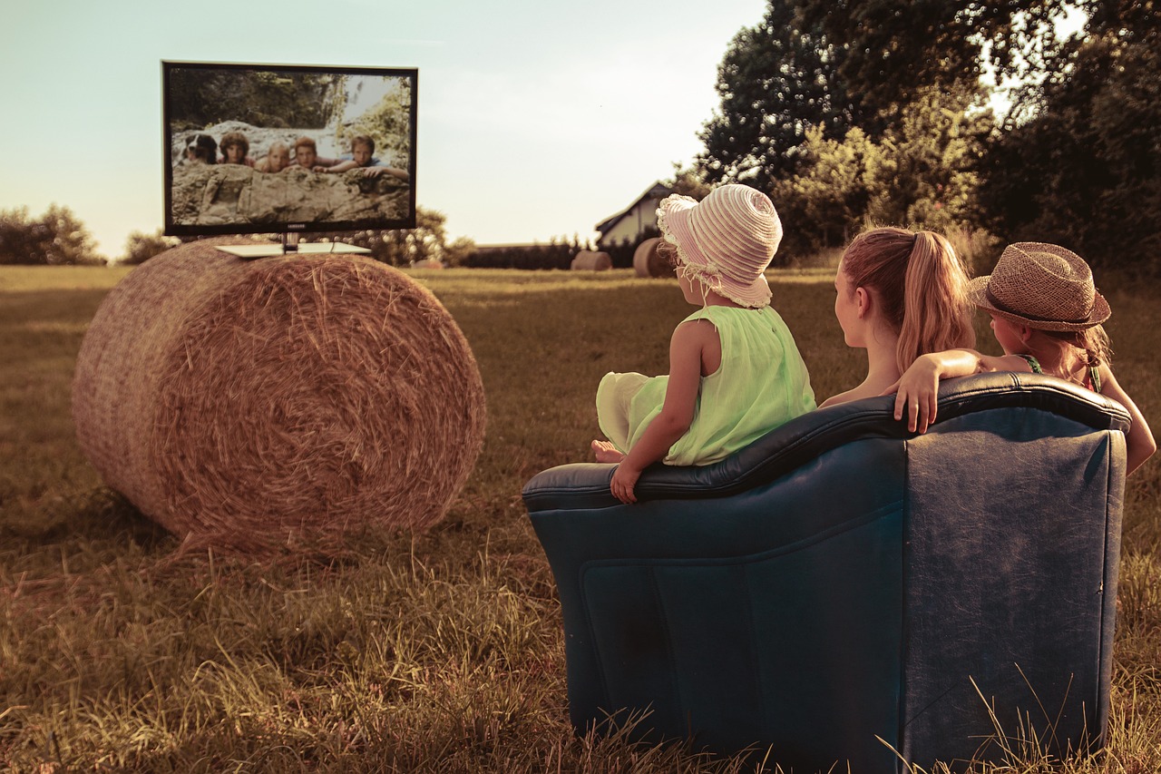 tv on haybale in field