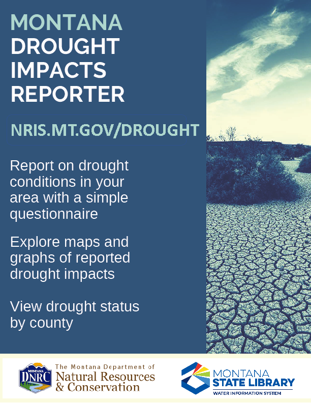 Drought Impact Flyer