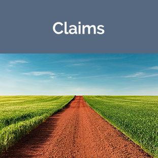 Claims Tile - Road between fields