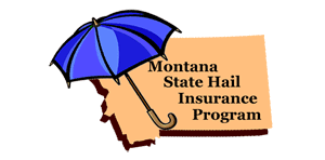 MT Hail Insurance Logo - State map with umbrella