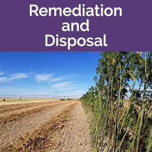 Remediation and Disposal