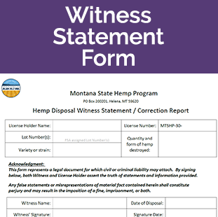 Witness Statement Form