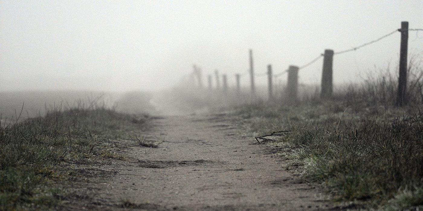 Foggy path along barbwire fence