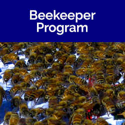 Beekeeper Program