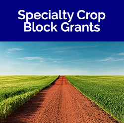 Specialty Crop Block Grants tile - road