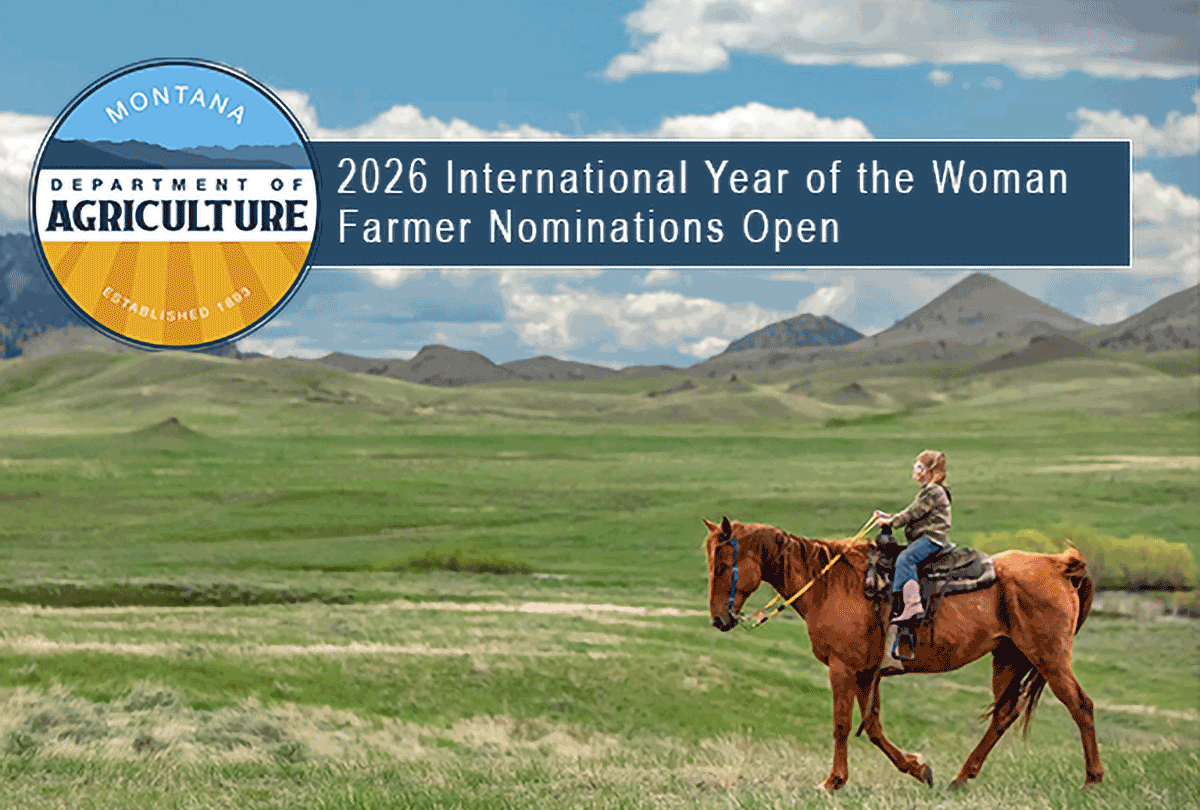 Young girl riding through pasture