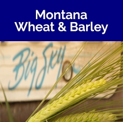 Montana Wheat & Barley Home