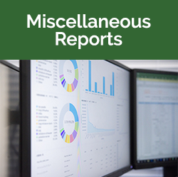 Miscellaneous Reports